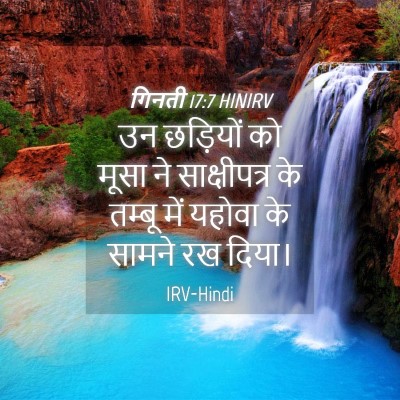 Picture 04 - गिनती 17:7 HINIRV - उन छड़ियों को मूसा - Bible Verse Picture