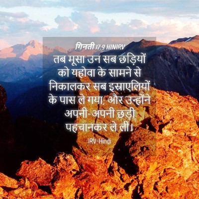 Picture 04 - गिनती 17:9 HINIRV - तब मूसा उन सब - Bible Verse Picture