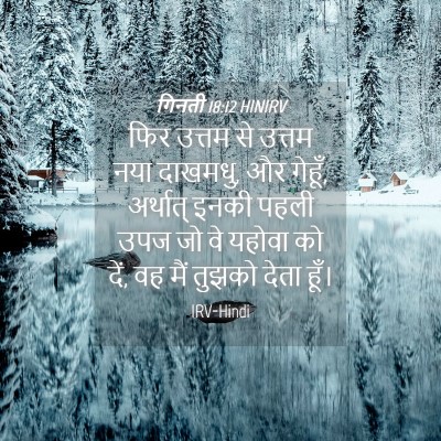 Picture 04 - गिनती 18:12 HINIRV - फिर उत्तम से उत्तम - Bible Verse Picture