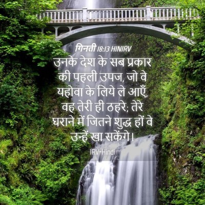 Picture 04 - गिनती 18:13 HINIRV - उनके देश के सब - Bible Verse Picture