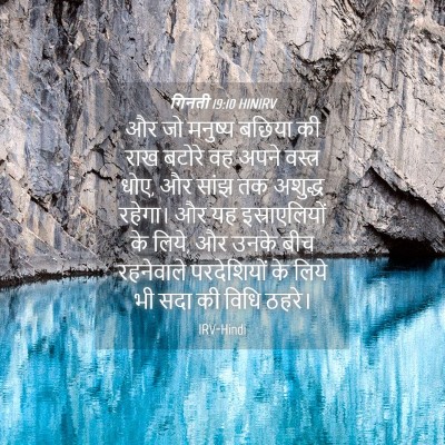 Picture 04 - गिनती 19:10 HINIRV - और जो मनुष्य बछिया - Bible Verse Picture