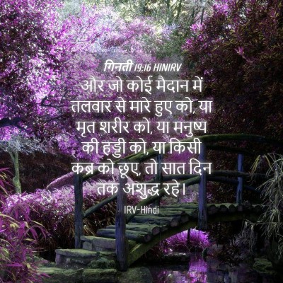 Picture 04 - गिनती 19:16 HINIRV - और जो कोई मैदान में - Bible Verse Picture