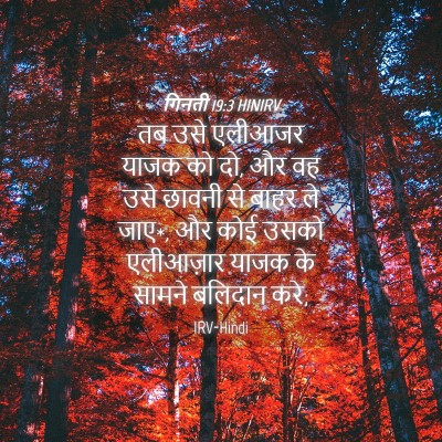Picture 04 - गिनती 19:3 HINIRV - तब उसे एलीआजर याजक - Bible Verse Picture