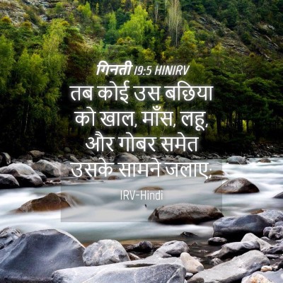 Picture 04 - गिनती 19:5 HINIRV - तब कोई उस बछिया को - Bible Verse Picture