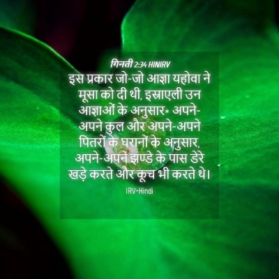 Picture 04 - गिनती 2:34 HINIRV - इस प्रकार जो-जो - Bible Verse Picture