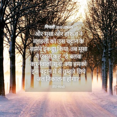 Picture 04 - गिनती 20:10 HINIRV - और मूसा और हारून ने - Bible Verse Picture