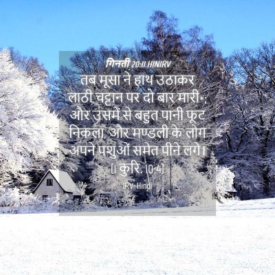 Picture 04 - गिनती 20:11 HINIRV - तब मूसा ने हाथ - Bible Verse Picture