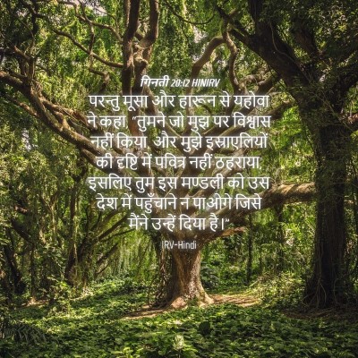 Picture 04 - गिनती 20:12 HINIRV - परन्तु मूसा और - Bible Verse Picture