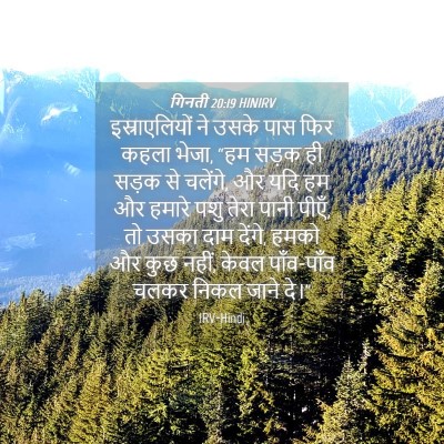 Picture 04 - गिनती 20:19 HINIRV - इस्राएलियों ने - Bible Verse Picture