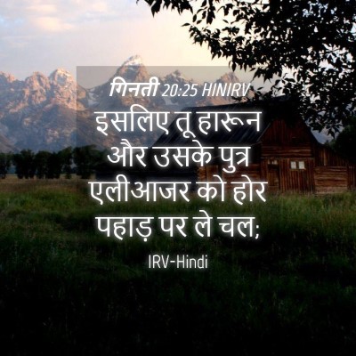 Picture 04 - गिनती 20:25 HINIRV - इसलिए तू हारून और - Bible Verse Picture