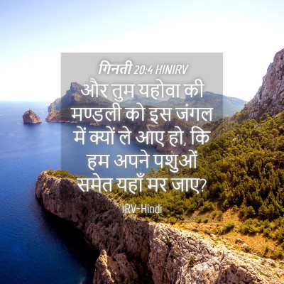 Picture 04 - गिनती 20:4 HINIRV - और तुम यहोवा की - Bible Verse Picture