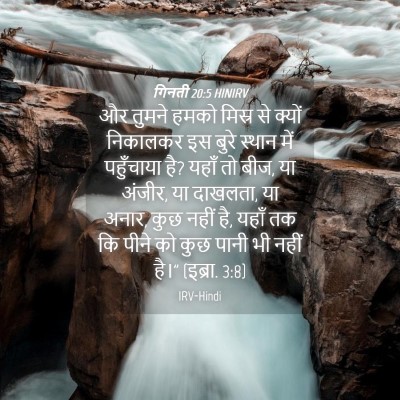 Picture 04 - गिनती 20:5 HINIRV - और तुमने हमको - Bible Verse Picture