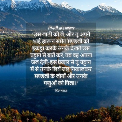 Picture 04 - गिनती 20:8 HINIRV - “उस लाठी को ले, और - Bible Verse Picture