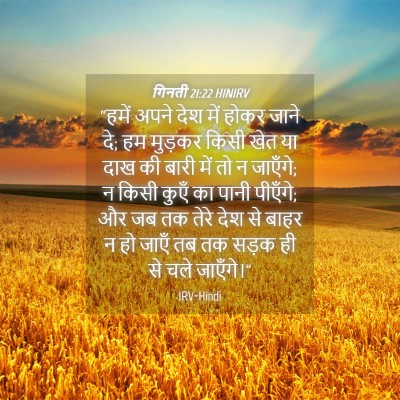 Picture 04 - गिनती 21:22 HINIRV - “हमें अपने देश में - Bible Verse Picture