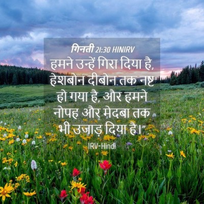Picture 04 - गिनती 21:30 HINIRV - हमने उन्हें गिरा - Bible Verse Picture