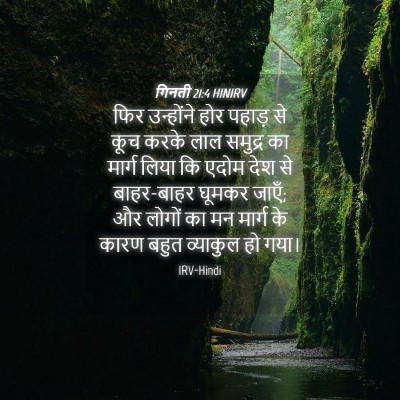 Picture 04 - गिनती 21:4 HINIRV - फिर उन्होंने होर - Bible Verse Picture