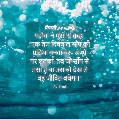 Picture 04 - गिनती 21:8 HINIRV - यहोवा ने मूसा से - Bible Verse Picture