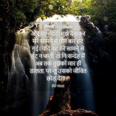 Picture 04 - गिनती 22:33 HINIRV - और यह गदही मुझे - Bible Verse Picture