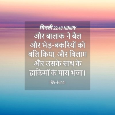 Picture 04 - गिनती 22:40 HINIRV - और बालाक ने बैल और - Bible Verse Picture
