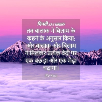 Picture 04 - गिनती 23:2 HINIRV - तब बालाक ने बिलाम - Bible Verse Picture