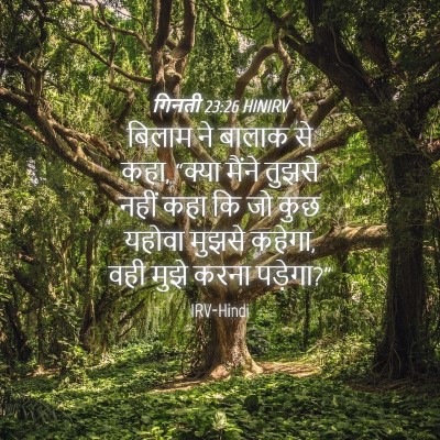 Picture 04 - गिनती 23:26 HINIRV - बिलाम ने बालाक से - Bible Verse Picture