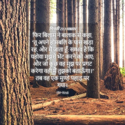 Picture 04 - गिनती 23:3 HINIRV - फिर बिलाम ने बालाक - Bible Verse Picture