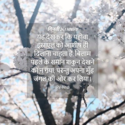 Picture 04 - गिनती 24:1 HINIRV - यह देखकर कि यहोवा - Bible Verse Picture
