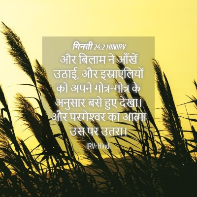 Picture 04 - गिनती 24:2 HINIRV - और बिलाम ने आँखें - Bible Verse Picture