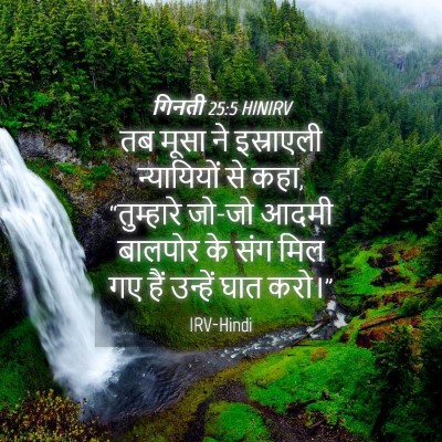Picture 04 - गिनती 25:5 HINIRV - तब मूसा ने - Bible Verse Picture