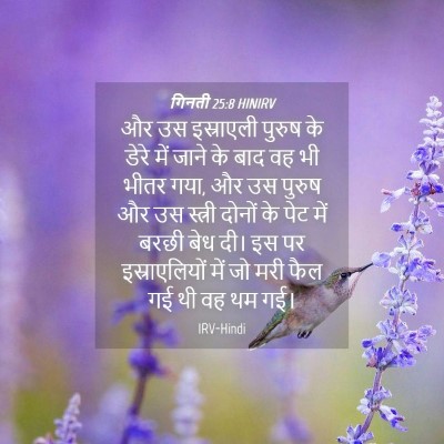 Picture 04 - गिनती 25:8 HINIRV - और उस इस्राएली - Bible Verse Picture