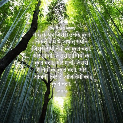 Picture 04 - गिनती 26:15 HINIRV - गाद के पुत्र जिससे - Bible Verse Picture