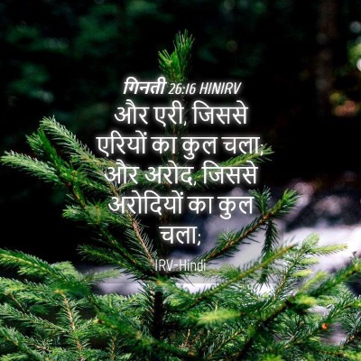 Picture 04 - गिनती 26:16 HINIRV - और एरी, जिससे - Bible Verse Picture