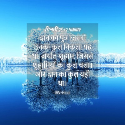 Picture 04 - गिनती 26:42 HINIRV - दान का पुत्र जिससे - Bible Verse Picture