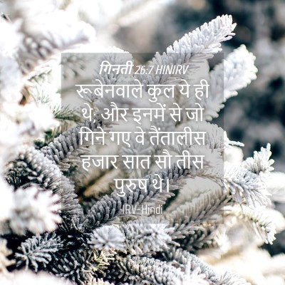 Picture 04 - गिनती 26:7 HINIRV - रूबेनवाले कुल ये - Bible Verse Picture