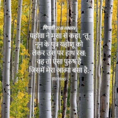 Picture 04 - गिनती 27:18 HINIRV - यहोवा ने मूसा से - Bible Verse Picture
