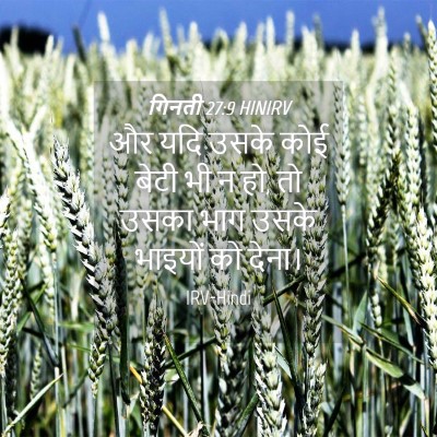 Picture 04 - गिनती 27:9 HINIRV - और यदि उसके कोई - Bible Verse Picture