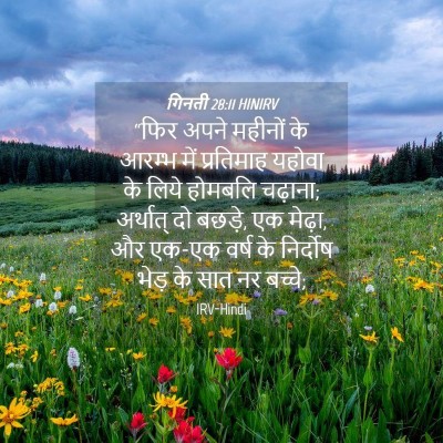 Picture 04 - गिनती 28:11 HINIRV - “फिर अपने महीनों - Bible Verse Picture