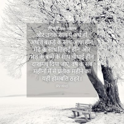 Picture 04 - गिनती 28:14 HINIRV - और उनके साथ ये अर्घ - Bible Verse Picture