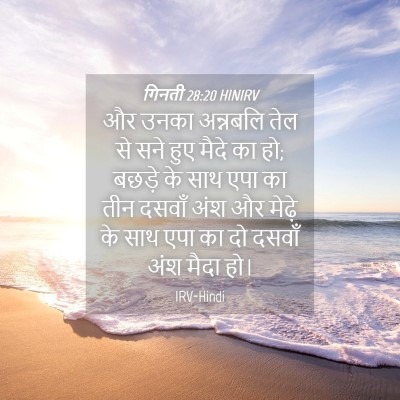 Picture 04 - गिनती 28:20 HINIRV - और उनका अन्नबलि - Bible Verse Picture