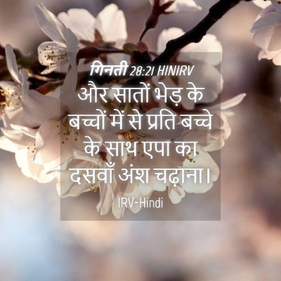 Picture 04 - गिनती 28:21 HINIRV - और सातों भेड़ के - Bible Verse Picture