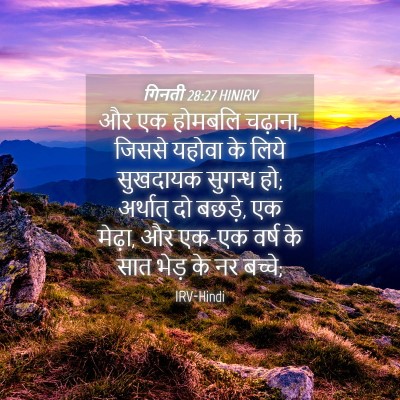 Picture 04 - गिनती 28:27 HINIRV - और एक होमबलि - Bible Verse Picture