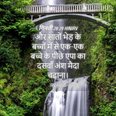 Picture 04 - गिनती 28:29 HINIRV - और सातों भेड़ के - Bible Verse Picture