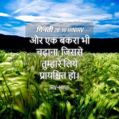 Picture 04 - गिनती 28:30 HINIRV - और एक बकरा भी - Bible Verse Picture