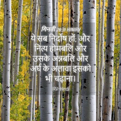 Picture 04 - गिनती 28:31 HINIRV - ये सब निर्दोष हों; - Bible Verse Picture