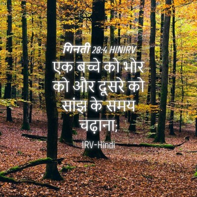 Picture 04 - गिनती 28:4 HINIRV - एक बच्चे को भोर को - Bible Verse Picture