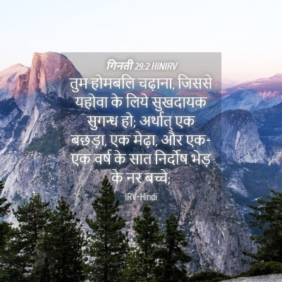Picture 04 - गिनती 29:2 HINIRV - तुम होमबलि चढ़ाना, - Bible Verse Picture