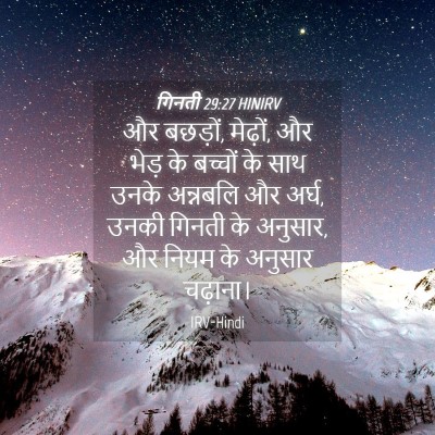 Picture 04 - गिनती 29:27 HINIRV - और बछड़ों, मेढ़ों, - Bible Verse Picture