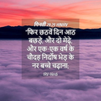 Picture 04 - गिनती 29:29 HINIRV - “फिर छठवें दिन आठ - Bible Verse Picture