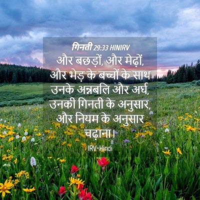 Picture 04 - गिनती 29:33 HINIRV - और बछड़ों, और - Bible Verse Picture