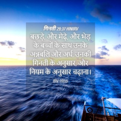 Picture 04 - गिनती 29:37 HINIRV - बछड़े, और मेढ़े, और - Bible Verse Picture